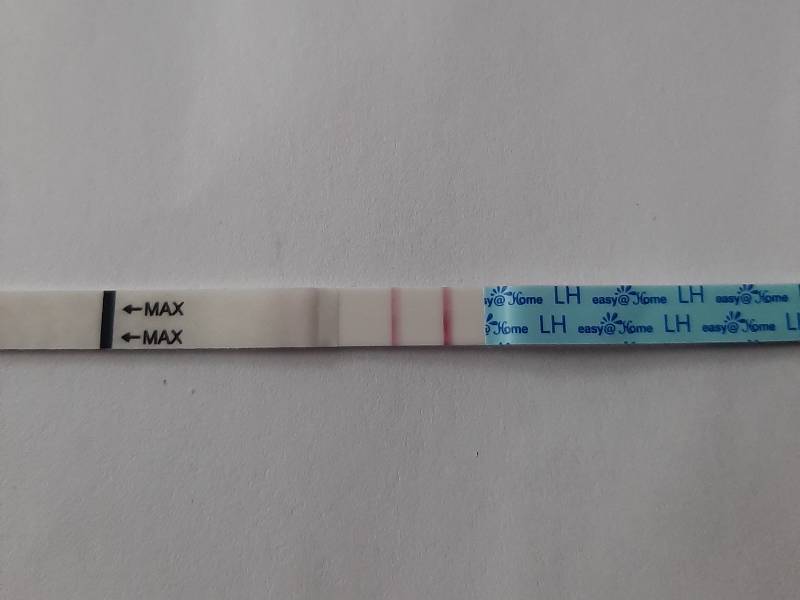 Photo gallery - 7 dpo - Search results - Ovulation test ...