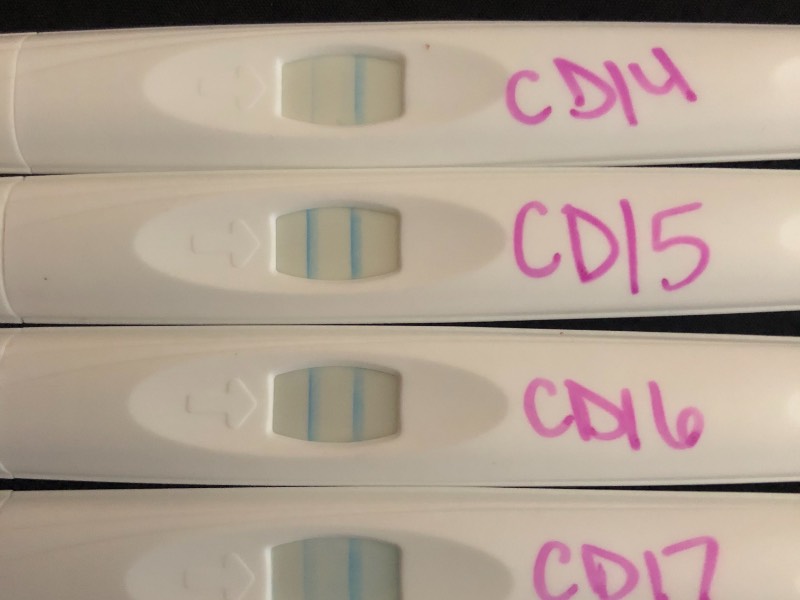 clear blue pregnancy test reviews