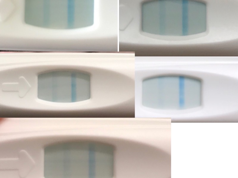 Can You Get A Negative Ovulation Test If Pregnant pregnancy test